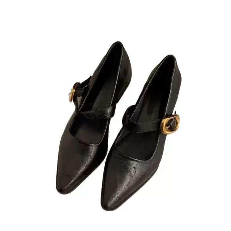 Black Pointed Toe Mary Jane Heels Vintage Gold Buckle Strap Low Heel Shoes
